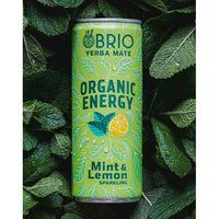 Brio Yerba Mate Organic Energy Drink Mint & Lemon 250ml