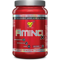 BSN AMINO X Fruit Punch Flavour 1.01kg